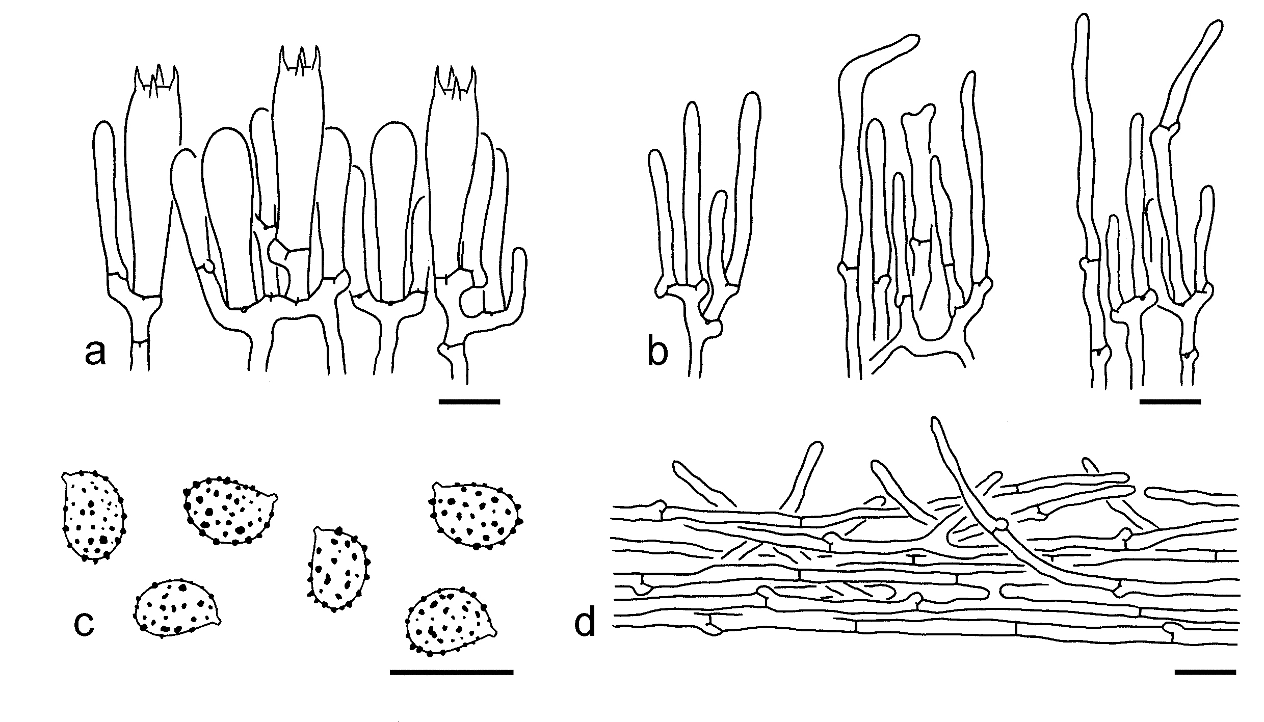 Figure 23